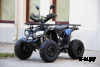 Квадроцикл UNIVERSAL ATV 125 TM Fusion