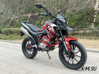 Мотоцикл PROMAX ADVENTURE 300 PRO (CBS300)