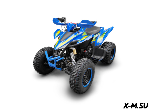 Квадроцикл YACOTA TYPHOON 250