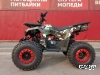 Квадроцикл WELS Thunder 125 E1